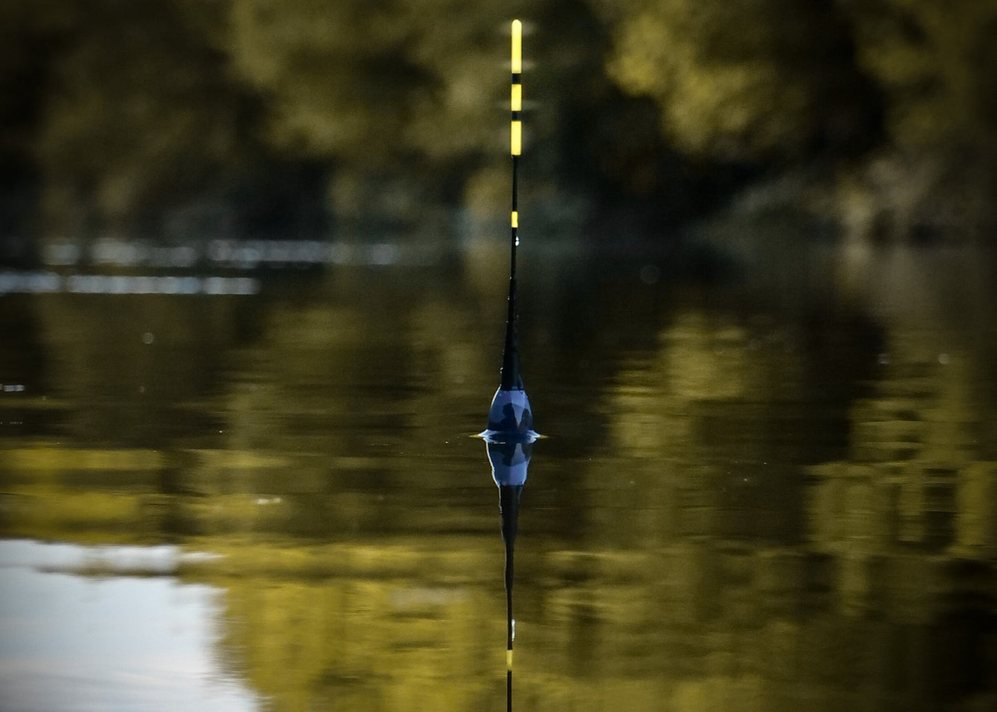 20g Smart Fishing Float