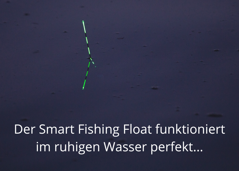 2 grammes de Smart Fishing Float